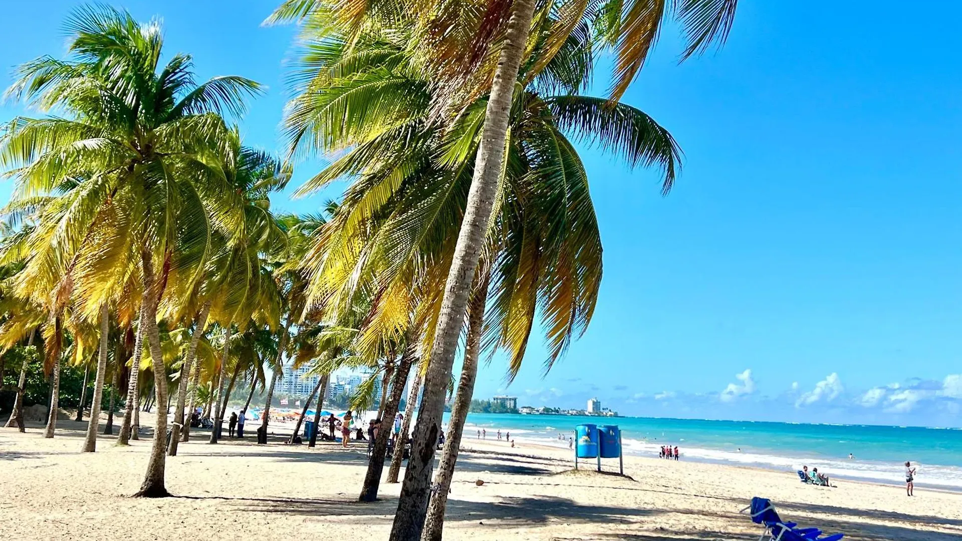 Ocean View Apt On Isla Verde In A 14Th Floor 圣胡安 波多黎各
